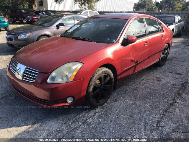 1N4BA41E95C846355 - 2005 NISSAN MAXIMA SE/SL RED photo 2