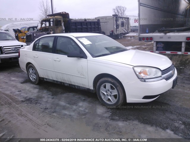 1G1ZT54875F215139 - 2005 CHEVROLET MALIBU LS WHITE photo 1