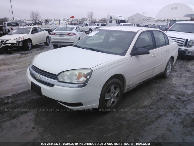 1G1ZT54875F215139 - 2005 CHEVROLET MALIBU LS WHITE photo 2