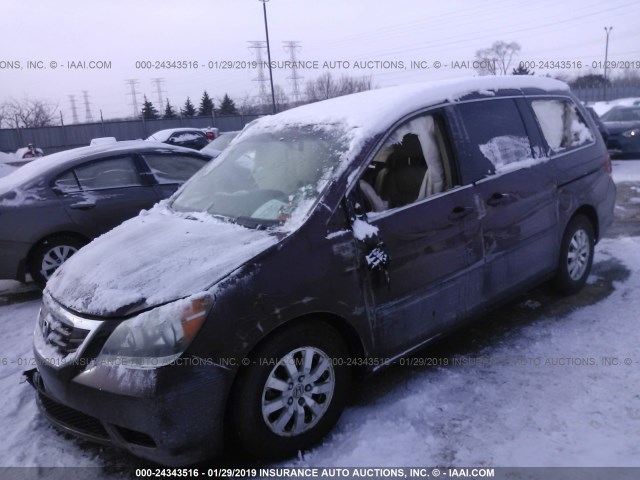 5FNRL38728B098687 - 2008 HONDA ODYSSEY EXL MAROON photo 2