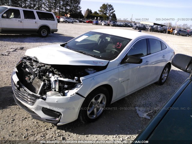 1G1ZB5ST8GF356444 - 2016 CHEVROLET MALIBU LS WHITE photo 2