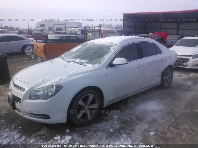 1G1ZJ57B39F158179 - 2009 CHEVROLET MALIBU 2LT WHITE photo 2