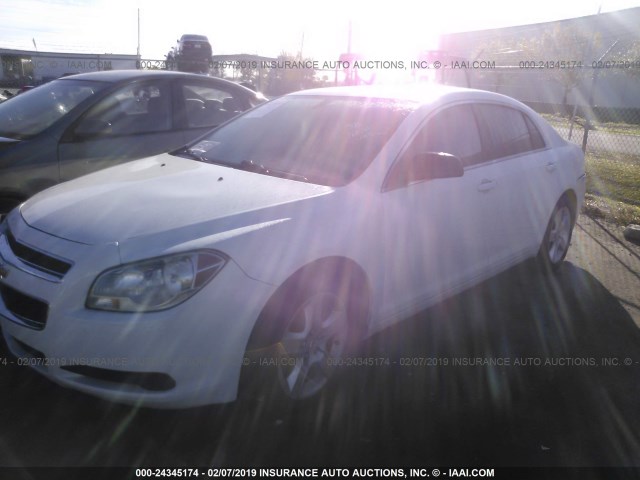 1G1ZA5EU7BF282546 - 2011 CHEVROLET MALIBU LS Ağ foto 2