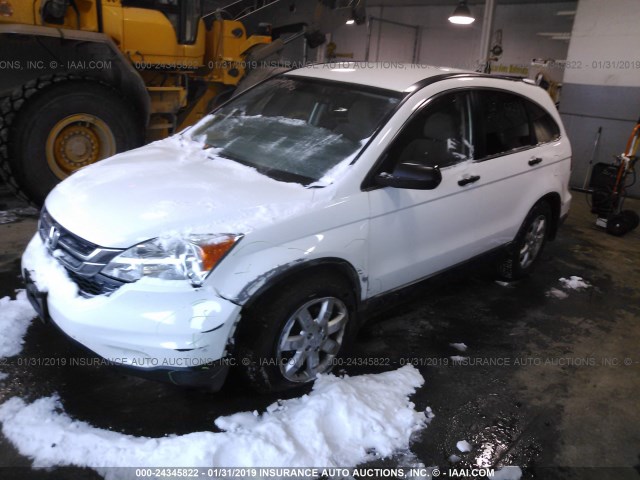 5J6RE4H42BL092912 - 2011 HONDA CR-V SE WHITE photo 2