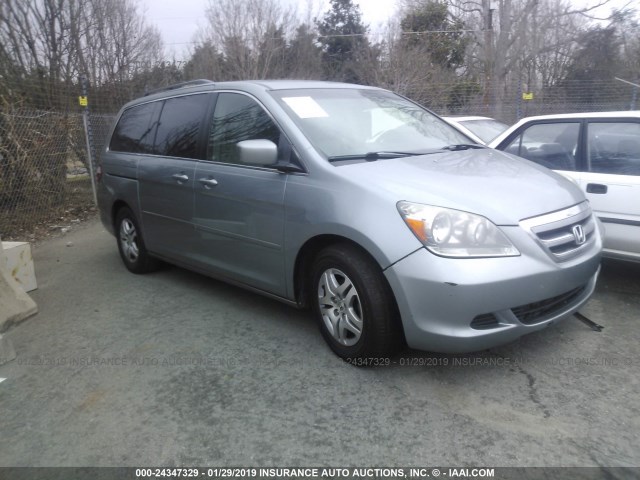 5FNRL38765B126812 - 2005 HONDA ODYSSEY EXL Light Blue photo 1