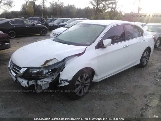 1HGCR2F31FA251596 - 2015 HONDA ACCORD WHITE photo 2