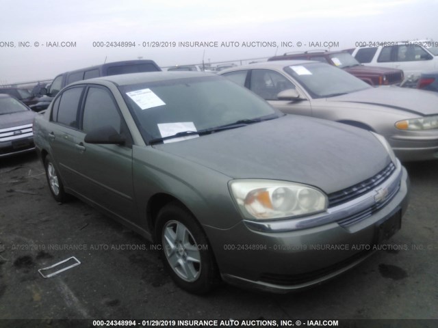 1G1ZT54865F218193 - 2005 CHEVROLET MALIBU LS GREEN photo 1