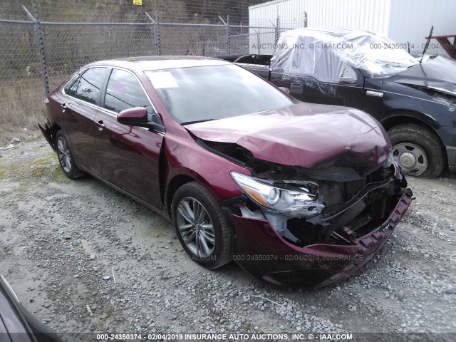 4T1BF1FKXHU711808 - 2017 TOYOTA CAMRY LE/XLE/SE/XSE MAROON photo 1