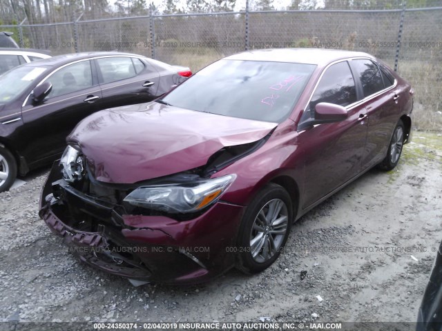 4T1BF1FKXHU711808 - 2017 TOYOTA CAMRY LE/XLE/SE/XSE MAROON photo 2