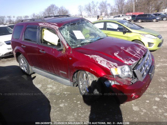 1FMCU03198KE61912 - 2008 FORD ESCAPE XLT RED photo 1