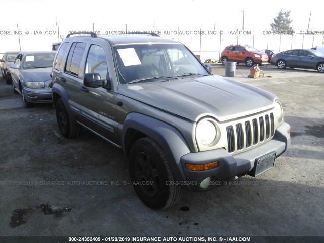 1J4GK48K73W587587 - 2003 JEEP LIBERTY SPORT/FREEDOM GOLD photo 1