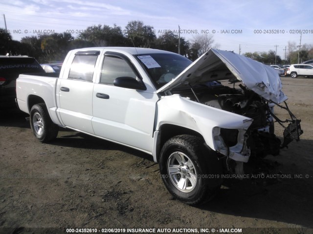 1D7HE38K08S570033 - 2008 DODGE DAKOTA SXT WHITE photo 1