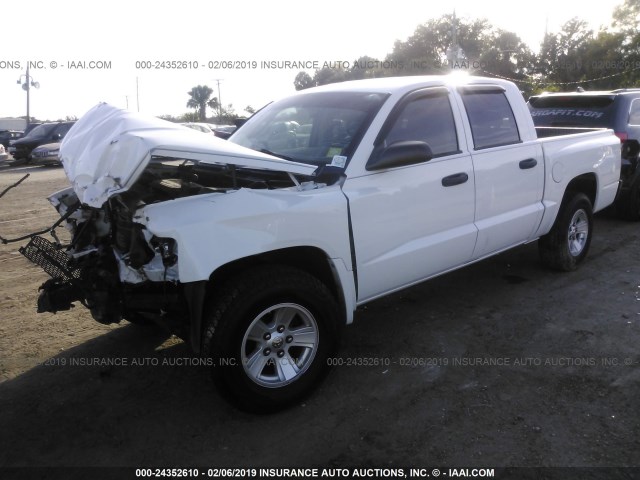 1D7HE38K08S570033 - 2008 DODGE DAKOTA SXT WHITE photo 2