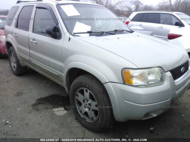 1FMCU94123KA01731 - 2003 FORD ESCAPE LIMITED GRAY photo 6