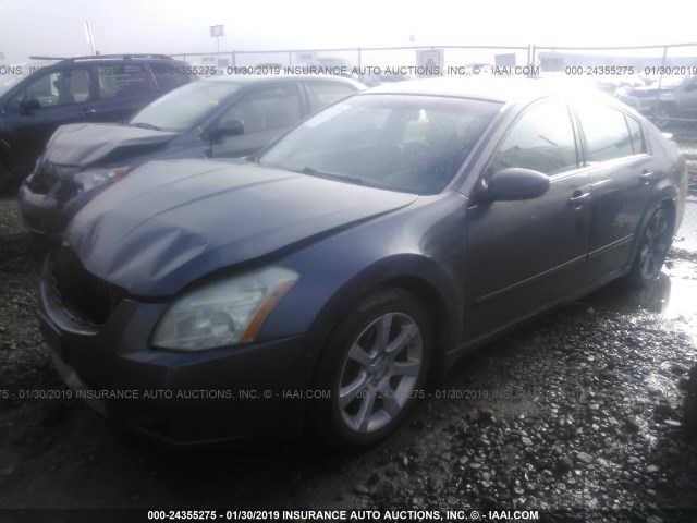 1N4BA41E67C852519 - 2007 NISSAN MAXIMA SE/SL GRAY photo 2