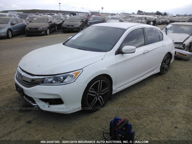 1HGCR2F59GA026202 - 2016 HONDA ACCORD SPORT WHITE photo 2