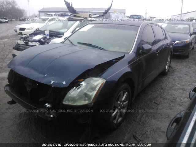 1N4BA41E54C830636 - 2004 NISSAN MAXIMA SE/SL BLUE photo 2