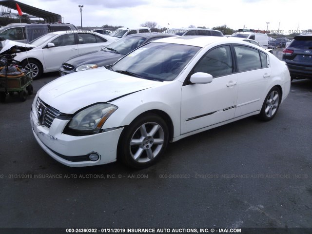 1N4BA41E44C807364 - 2004 NISSAN MAXIMA SE/SL WHITE photo 2