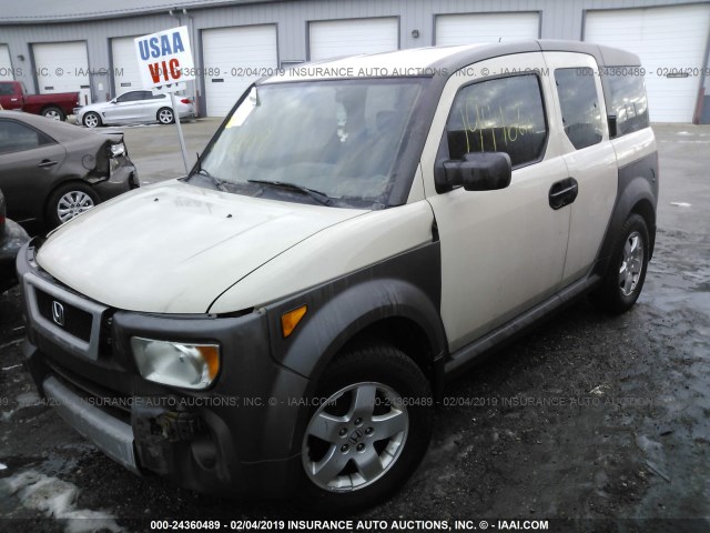 5J6YH28685L003339 - 2005 HONDA ELEMENT EX BEIGE photo 2