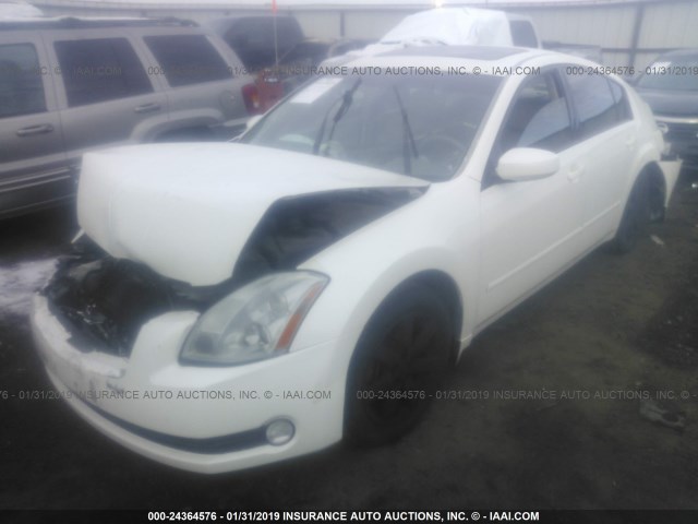 1N4BA41E34C882895 - 2004 NISSAN MAXIMA SE/SL WHITE photo 2