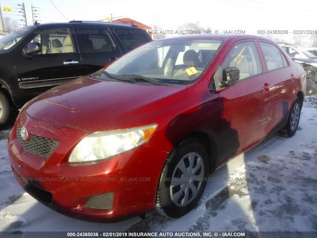 JTDBL40E799058263 - 2009 TOYOTA COROLLA LE/XLE MAROON photo 2