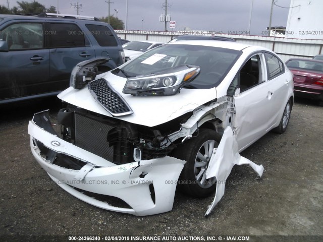 3KPFL4A73HE008083 - 2017 KIA FORTE LX/S WHITE photo 2