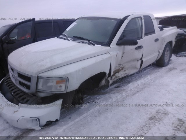 1D7RW3GK2BS620764 - 2011 DODGE DAKOTA SLT WHITE photo 6