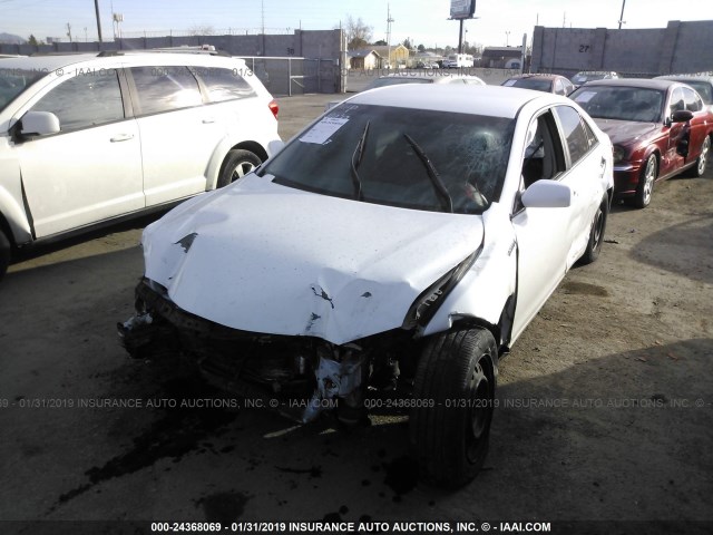 4T1BB46K38U042911 - 2008 TOYOTA CAMRY HYBRID WHITE photo 2