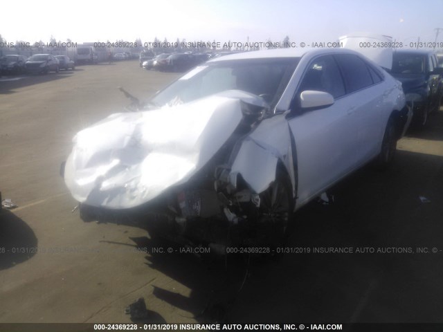 4T1BF1FKXFU488019 - 2015 TOYOTA CAMRY LE/XLE/SE/XSE WHITE photo 2