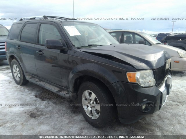 1FMCU0EG2AKC23732 - 2010 FORD ESCAPE LIMITED BLACK photo 1