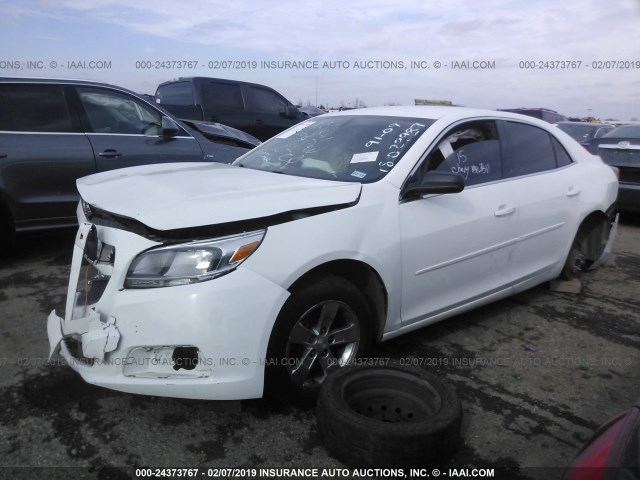1G11B5SA0DF208103 - 2013 CHEVROLET MALIBU LS WHITE photo 2