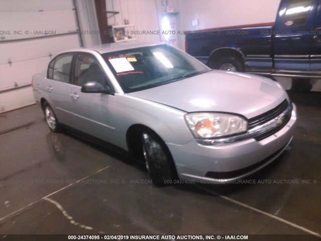 1G1ZT52885F310294 - 2005 CHEVROLET MALIBU LS SILVER photo 1
