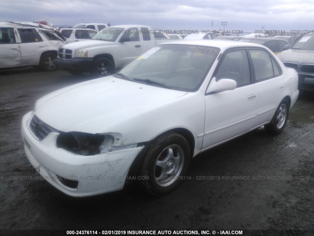 1NXBR12E71Z562707 - 2001 TOYOTA COROLLA CE/LE/S WHITE photo 2