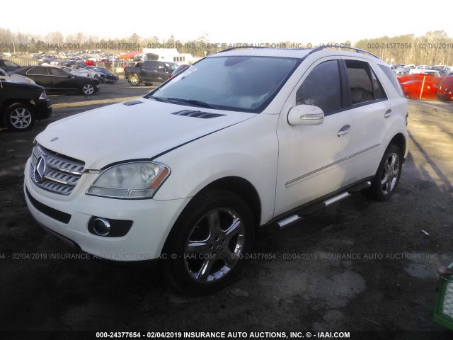 4JGBB86E66A122431 - 2006 MERCEDES-BENZ ML 350 WHITE photo 2