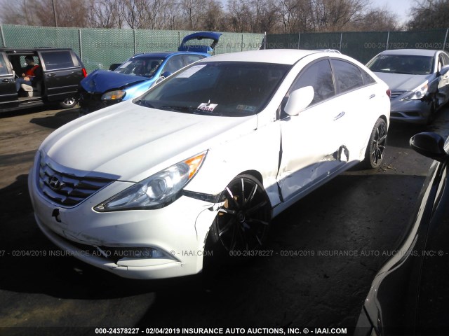 5NPEC4ACXDH627505 - 2013 HYUNDAI SONATA SE/LIMITED WHITE photo 2