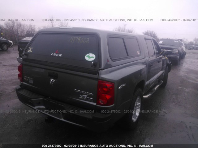 1D7RW3GP3BS709691 - 2011 DODGE DAKOTA SLT GRAY photo 4