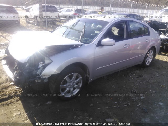 1N4BA41E44C831311 - 2004 NISSAN MAXIMA SE/SL SILVER photo 2