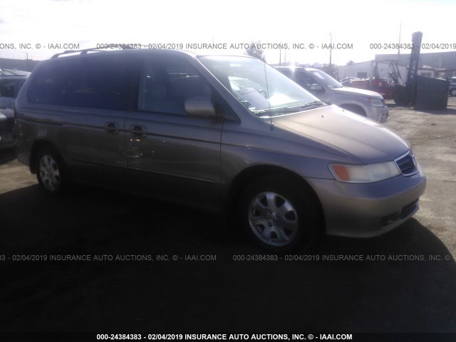 5FNRL18983B111585 - 2003 HONDA ODYSSEY EXL GOLD photo 1