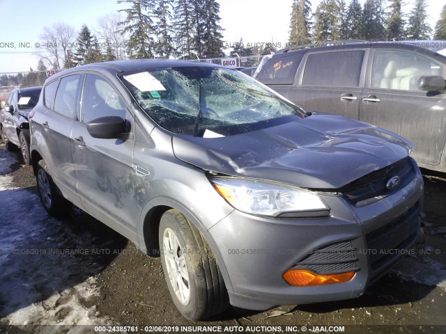 1FMCU0F72EUA69631 - 2014 FORD ESCAPE S GRAY photo 1