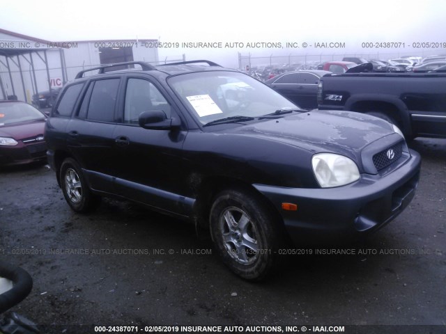 KM8SB12B74U636044 - 2004 HYUNDAI SANTA FE GL BLACK photo 1