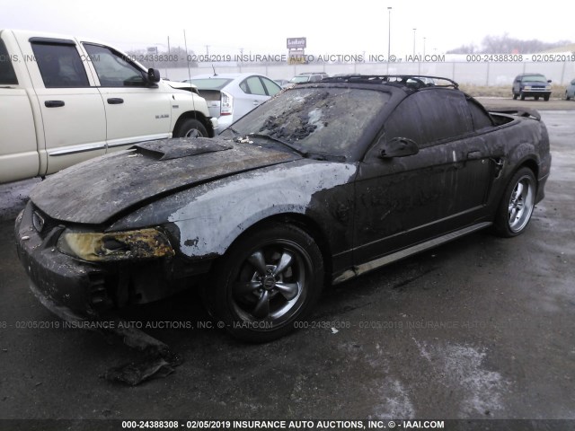 1FAFP45X04F175120 - 2004 FORD MUSTANG GT BROWN photo 2