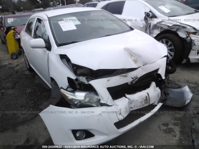 1NXBU4EE5AZ352439 - 2010 TOYOTA COROLLA S/LE/XLE WHITE photo 1