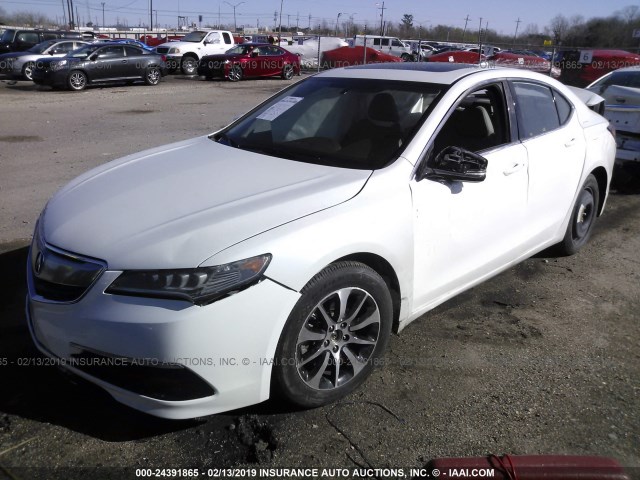 19UUB2F39HA001213 - 2017 ACURA TLX WHITE photo 2