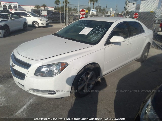 1G1ZJ57B09F124975 - 2009 CHEVROLET MALIBU 2LT WHITE photo 2