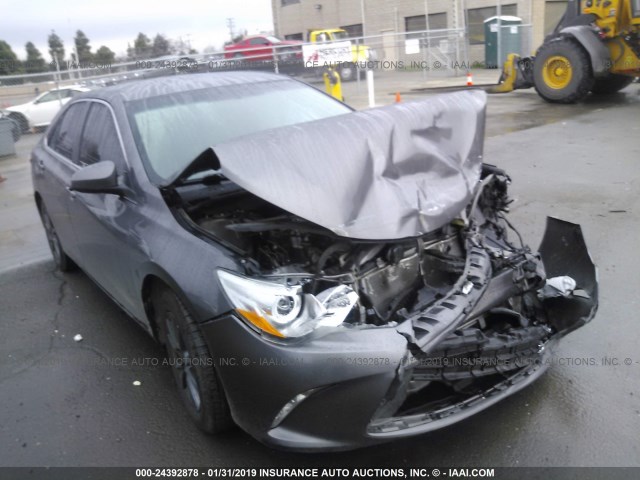 4T4BF1FKXFR487748 - 2015 TOYOTA CAMRY LE/XLE/SE/XSE GRAY photo 1