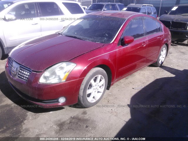 1N4BA41E36C864089 - 2006 NISSAN MAXIMA SE/SL RED photo 2