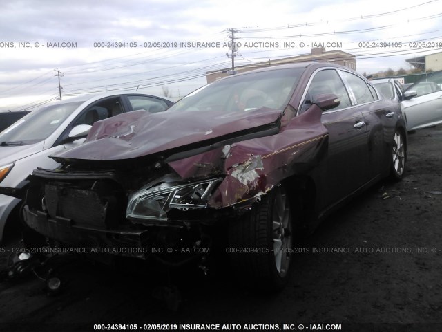 1N4AA5AP1AC875068 - 2010 NISSAN MAXIMA S/SV MAROON photo 2