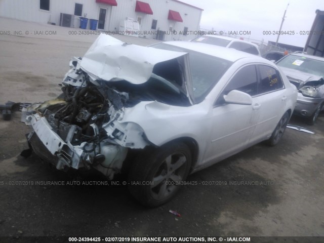 1G1ZC5E15BF330805 - 2011 CHEVROLET MALIBU 1LT 白色 照片 2