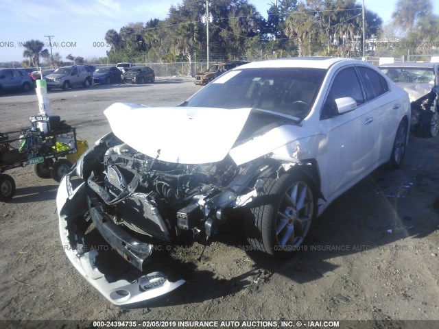 1N4AA5AP0AC867821 - 2010 NISSAN MAXIMA S/SV WHITE photo 2