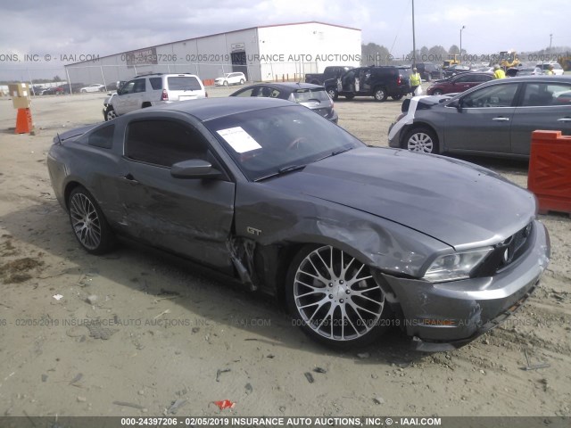 1ZVBP8CH5A5123315 - 2010 FORD MUSTANG GT GRAY photo 1